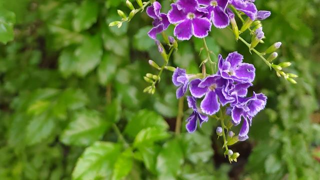 中国散户：股民想在股市多活几年，牢记这1