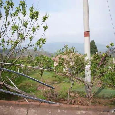 福康说法：“无理取闹？”四川成都，73岁