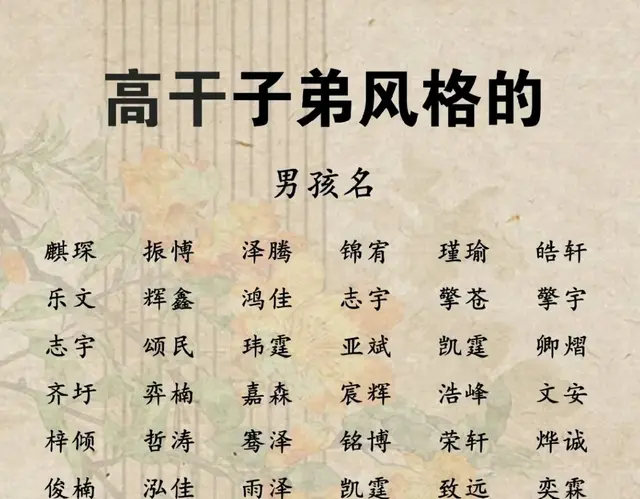 高干子弟风格的宝宝好名字分享