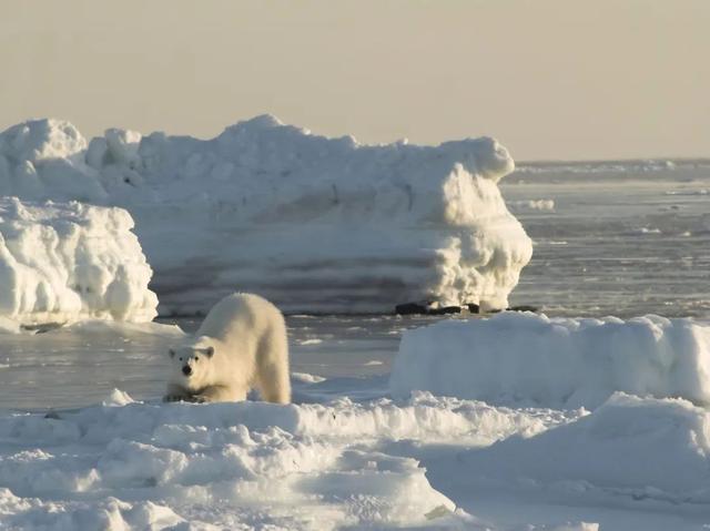 气候变化还会影响人的身体健康？