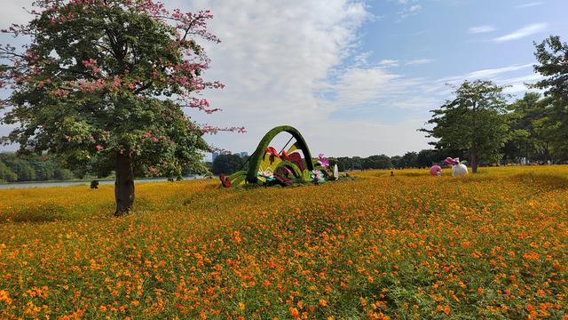 中国散户：股市里最扎心的讽刺：对投机挥金