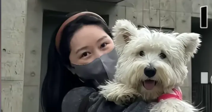 首例宠物中毒刑事后续：获刑4年，有6个案例，涉案毒药对人也致命