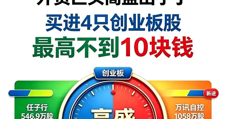 外资巨头高盛出手了！“买进”4只创业板股，最高不到10块钱
