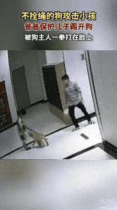 风雪慕晴：父亲护子踢开未拴绳恶犬 反被狗