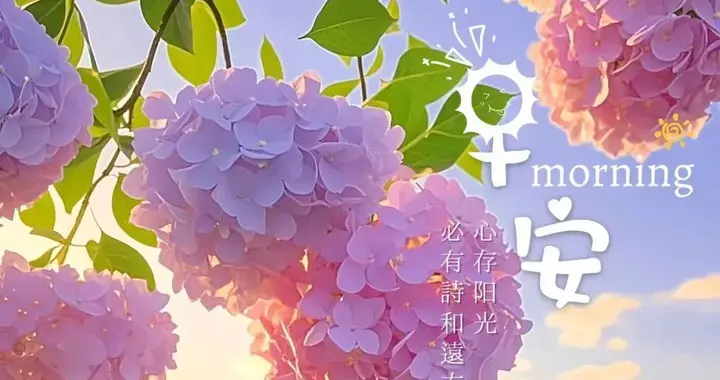 早安心语：心若阳光，生活斑斓，人若简单，人生清澈