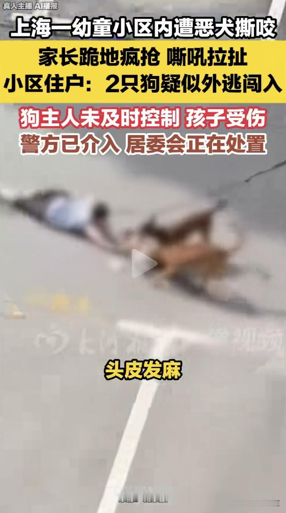 这不是电影，这是发生在上海街头的真实一幕：一名幼童被两只体型壮硕的恶犬...