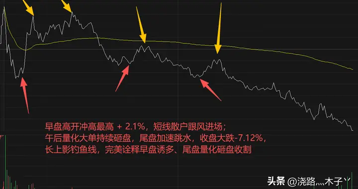 量化为了钱反复收割，散户为了钱咬牙割肉，真实而现实！