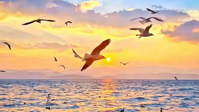 娟姐说：周末不起人间喧嚣，用一段专注的时