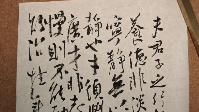 葦葉草：诫子书 （部分）