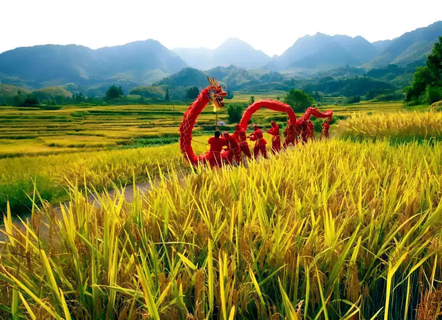 靠土地流转?就能救了农村?乡村振兴的落脚点在哪里?