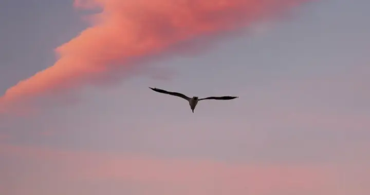 今日文案｜关于女性力量的语录