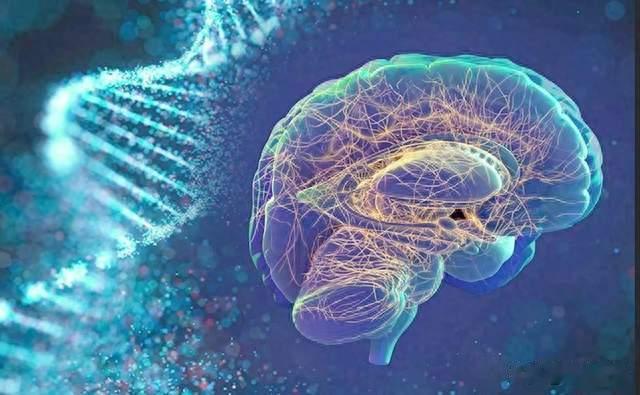 新药为何瞄准两个靶点？一文读懂Aβ和Tau在阿尔茨海默病中的角色