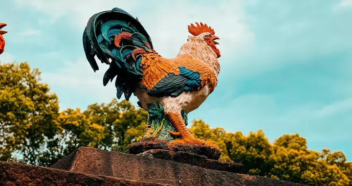 属鸡人:4月8、9、10号，尤其是8号，是你人生中罕见的转机窗口！