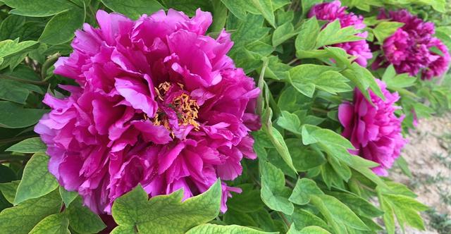 美丽的蓝天白云