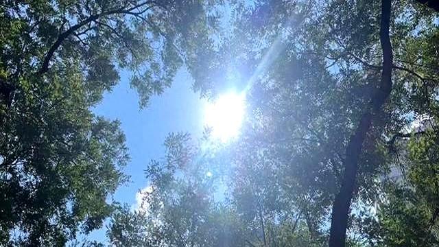 局部仍超40℃！“副高”再次西伸北抬 山东将再连续热7天