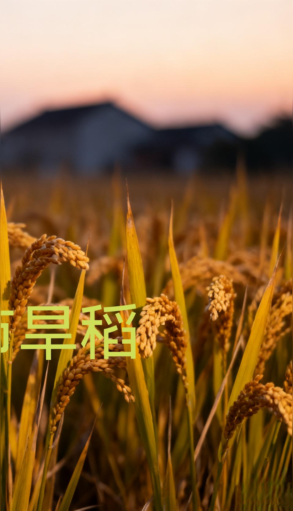 1.日方如果武力介入台海的局势，要防3个隐藏敌人，第一美帝，第二大俄...