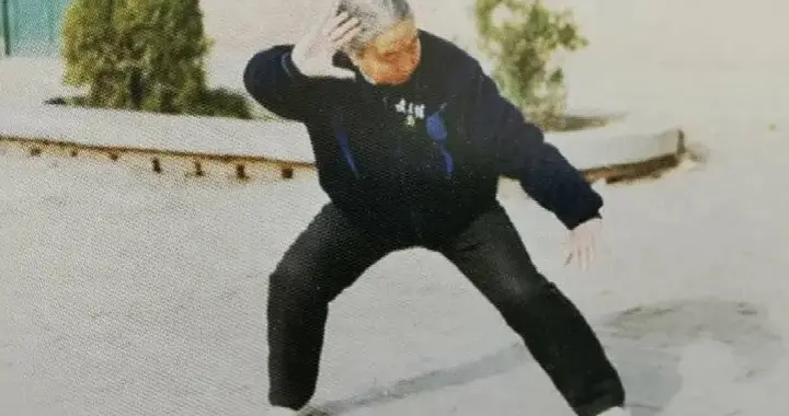 形意拳鸡形四把的武学真意