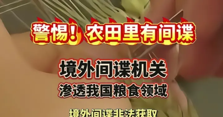 国安出手！17人因粮食间谍案落网，手段太狡猾！