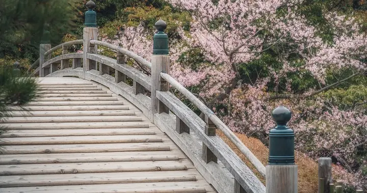 （日本）川端康成：比王位高尚的誓言和爱