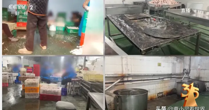 鸡爪不能吃？315晚会点名漂白鸡爪，滥用双氧水，工人自己都不吃