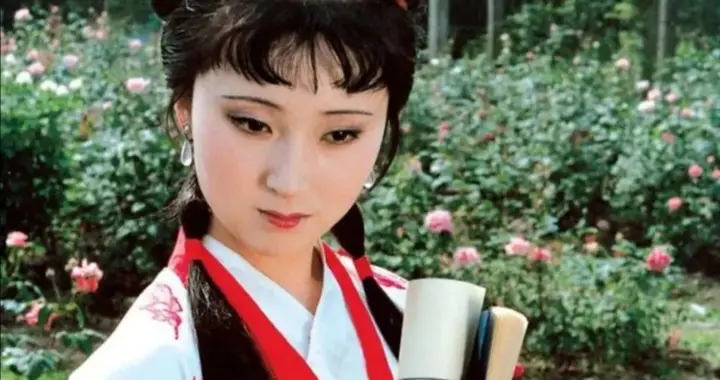 替林黛玉叫屈：她从未支持宝玉厌恶科举，更没对赵姨娘不礼貌过