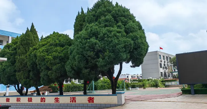 手机不得带入课堂，教育部发话了