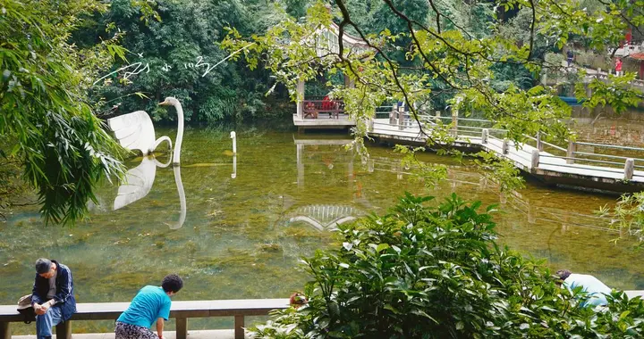 藏在贵阳市中心的“城市绿肺”，免费4A级景区，野生猕猴成群？