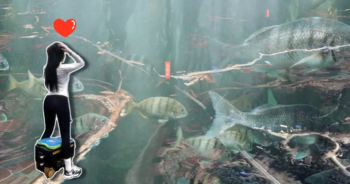 会“吐鱼”的洞，你见过吗？看似天赐福利，背后竟藏惊天之密！