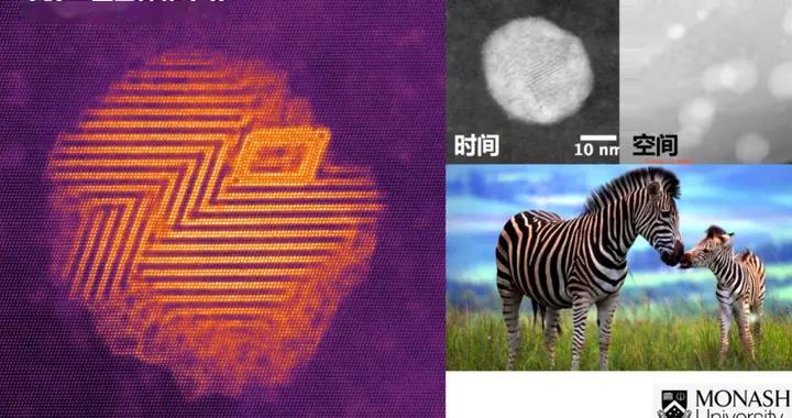 张泽中：“成吉思汗的骑兵”和“装甲部队”：AI如何重造科学仪器 | A...