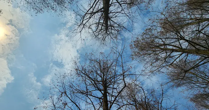 南京天气过山车！后天22℃后天6℃，暴跌16℃，别急着收冬衣