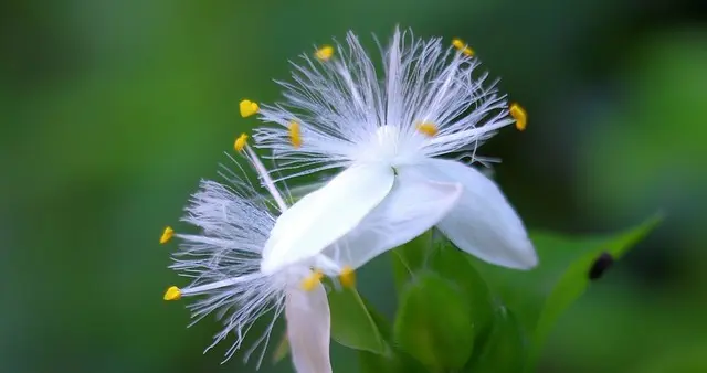 懂你的言外之意，理解你的山河万里，尊重你的与众不同