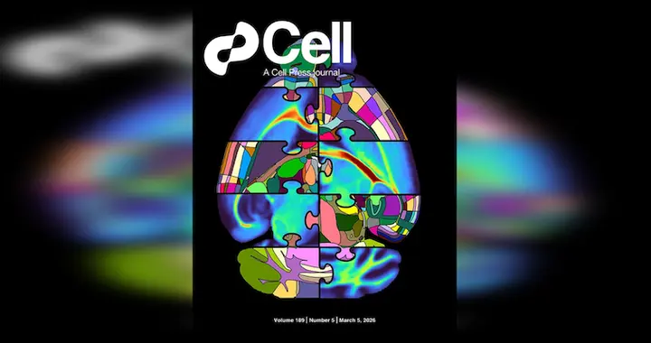 Cell：菌群代谢物调控结肠区域化，揭示IBD新机制 | 热心肠日报