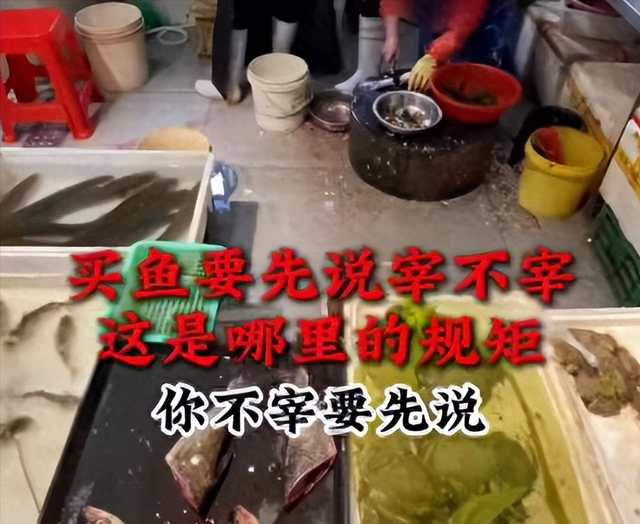 武汉鱼贩打人后续！拘12天罚200元，更多细节曝光，网友猜出内幕