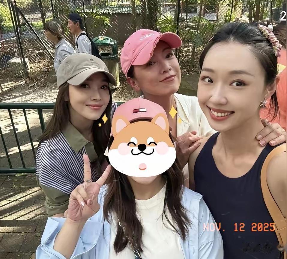 “TVB御姐”邓萃雯人设崩塌？这反差萌甜到齁！三女神澳洲游记笑出鹅叫 ...