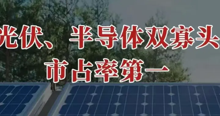 市占率第一，光伏、半导体双寡头，绝处求生！