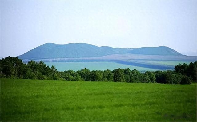 关于补种树木的相关规定