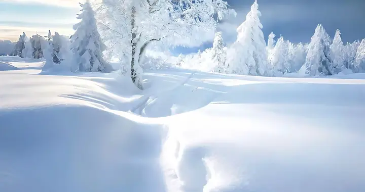 4k高清手机壁纸，不错的选择！