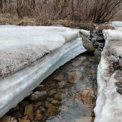 知足常乐868：与痛风斗争的历程208