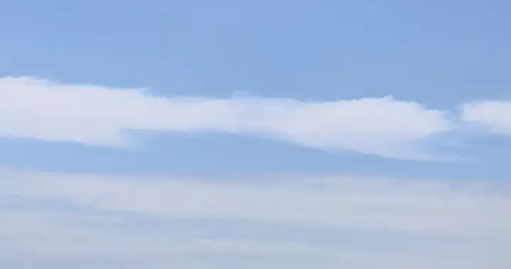 高手从不轻易救人，多数是见死不救，这是对人性保持敬畏