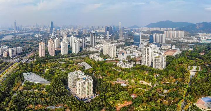 为什么年轻人爱去深圳杭州成都，东北西北城市却越来越衰落