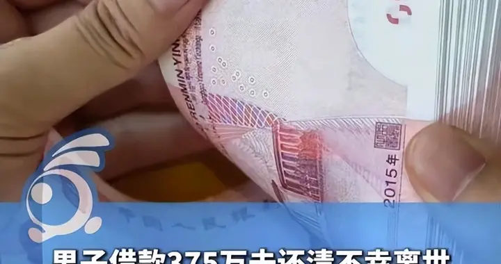 阜阳男子去世，留375万借条！妻女放弃遗产被告上法庭！法院判了