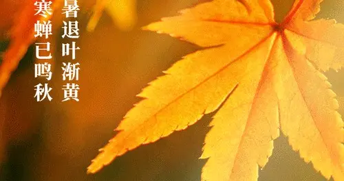 8月7日迎来闭眼秋，老辈俗语大白话解读