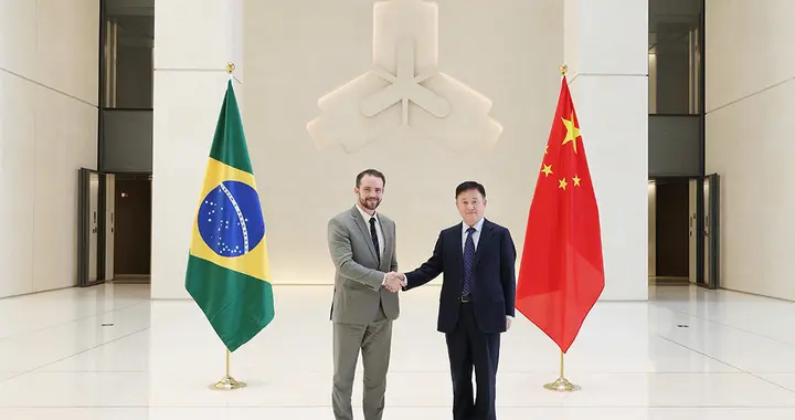 放着好好的美元不借，大老远跑来中国借人民币，巴西到底图什么？