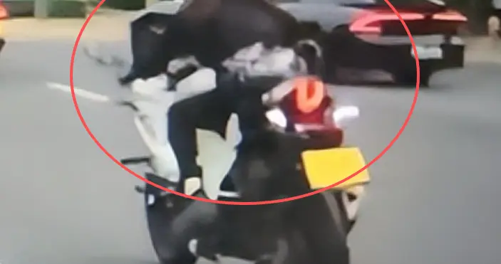 江苏女骑手强行变道社死！硬刚警察不道歉，老公被坑惨，处罚更爽