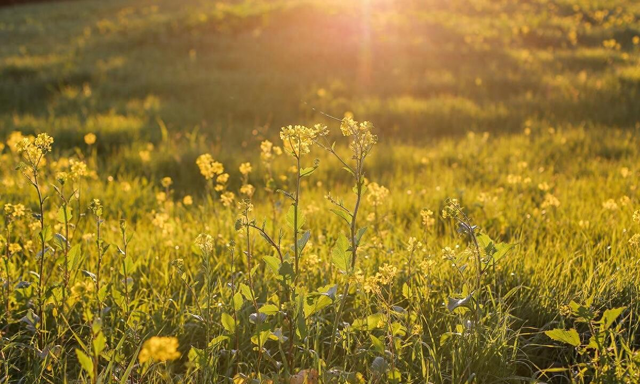 娶到这3种儿媳，是婆家的福气，就偷着乐吧，别不知足，好好珍惜