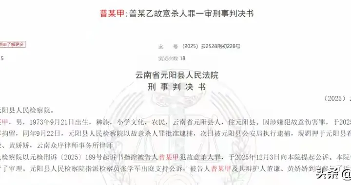 长期遭儿子家暴，父亲忍无可忍将其砍伤，涉嫌故意杀人未遂获刑