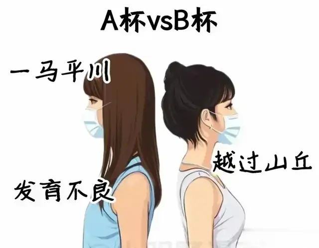 美女营地477 不同罩杯间的真实对比，大比一定好