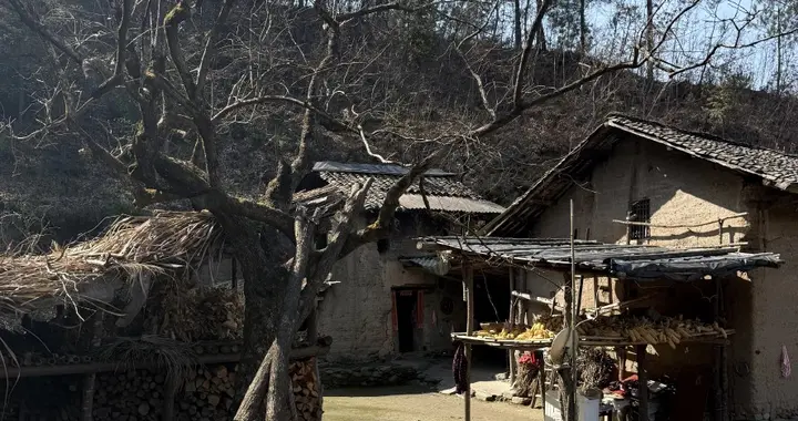 结局没想到：大年三十躲牲口圈的穷人，最后被富人全家认作大哥