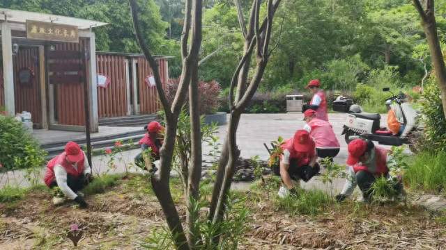 汗水浇灌绿意 志愿守护科普基地
