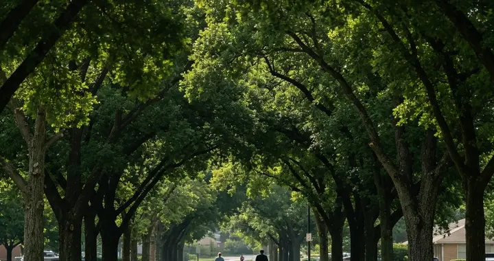 德州市区小众公园出圈！免费遛娃散心，本地人私藏不拥挤